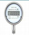 pressure gauge