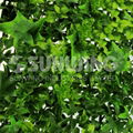 artificial ivy hedges privacy green wall fake hdegs mats 5