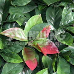 decorative hedges plastic fences landscaping fencing with test report