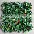 decorative hedges plastic fences landscaping fencing with test report 5