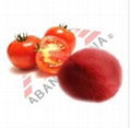 Spray Dried Tomato Powder (pure)  1