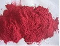 Red Beet Root Powder 