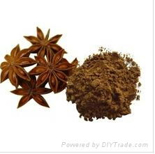 Star Anise