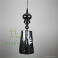 Modern Pendant Lamp 5