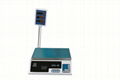 Price Scale TS-816A 1