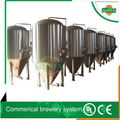 2000-5000liter beer fermentation tanks