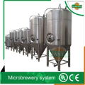 30bbl micro fermenting system