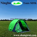 Chinese Factory Wholesale 190T Polyester Unique Camping Tents  1