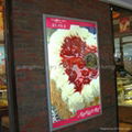 Menu Display Boards LED Slim Light Box