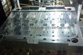 Multi Cavity Mold 1