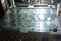 Multi Cavity Mold