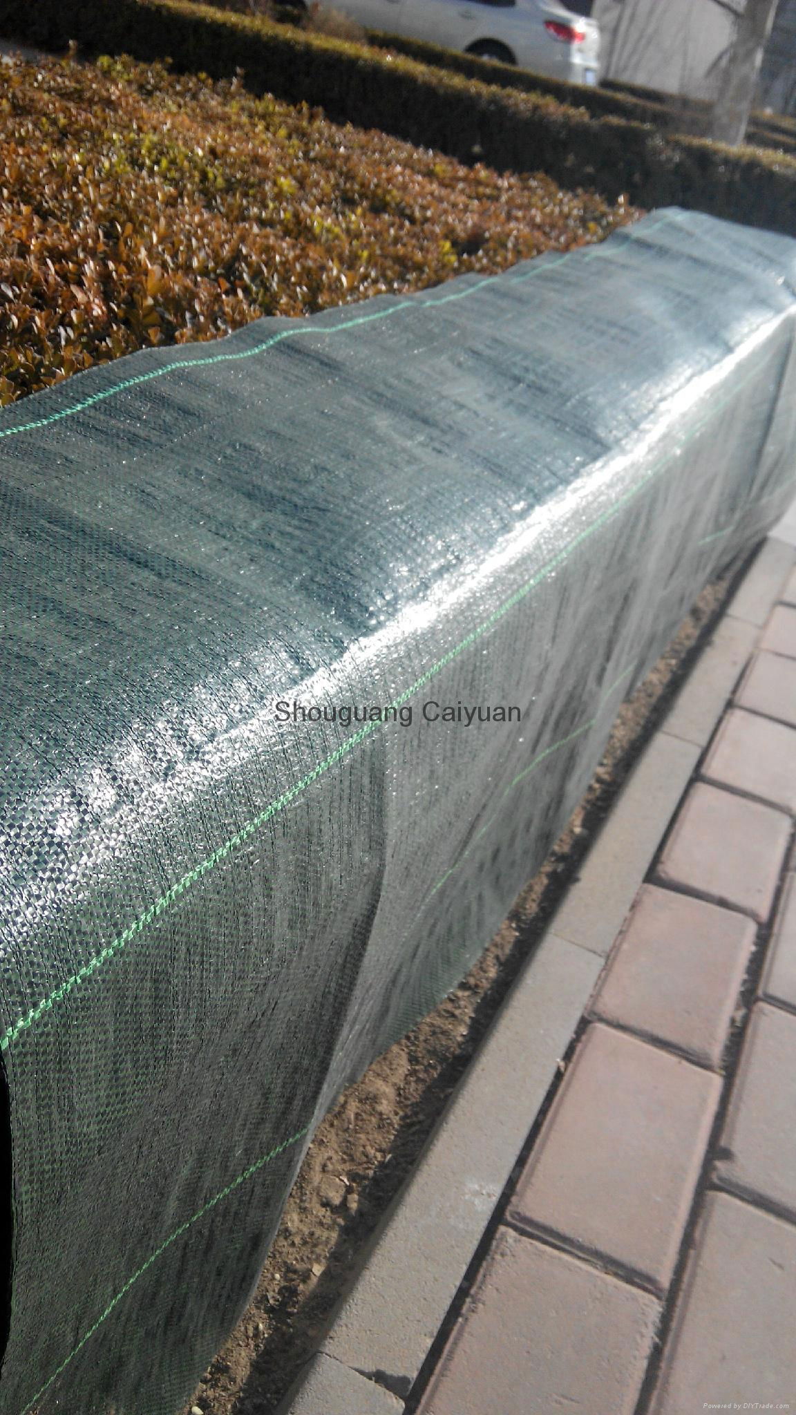 Garden pp woven ground cover /WEED BARRIER/NEEDLE PUNCHE 5