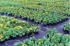 PP WOVEN GROUND COVER/WEED MAT/MULCH FILM MADE IN CHINA
