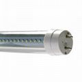 LED T8 tube with high luminous flux 3