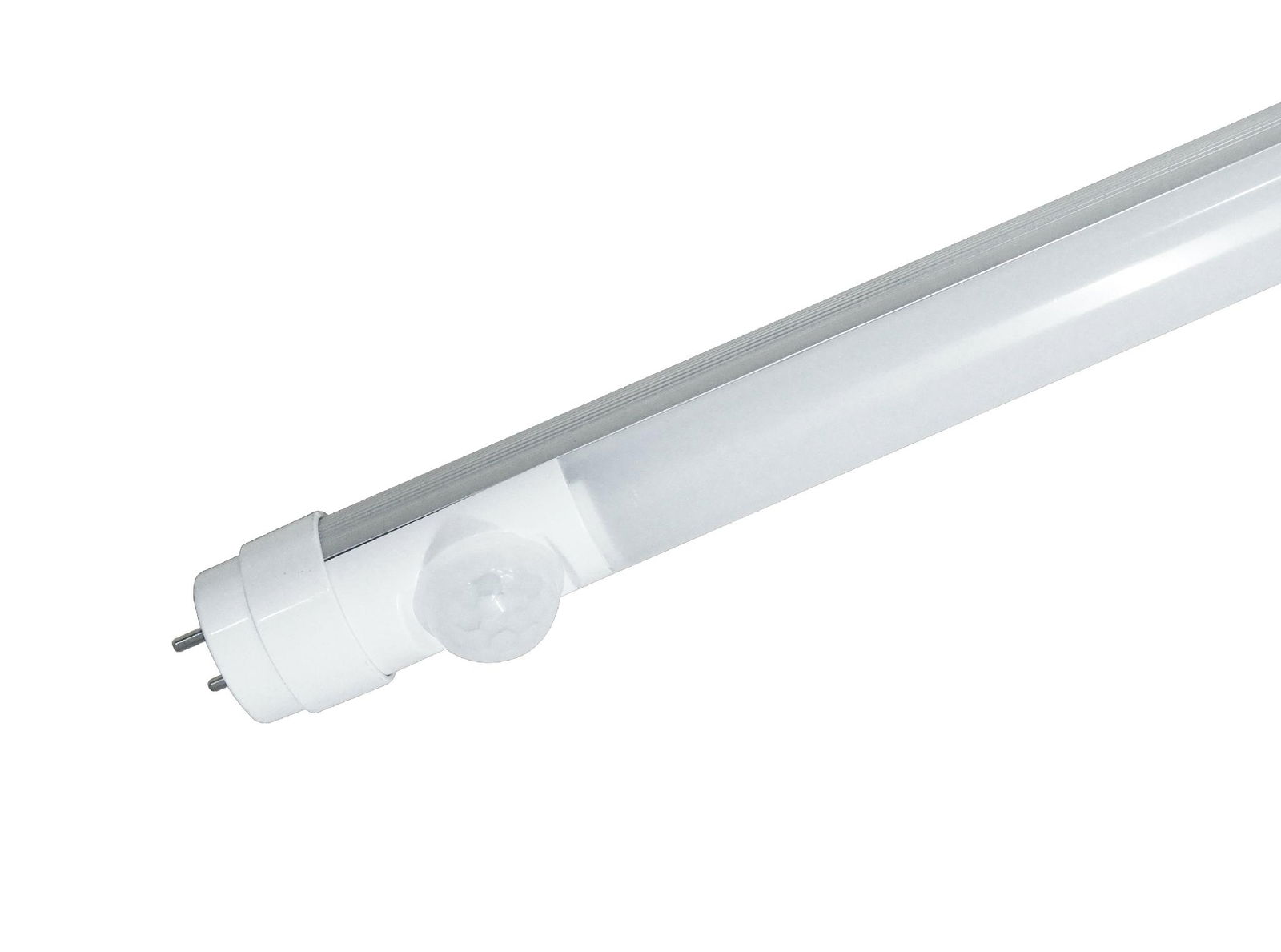 BT81B T8 Sensor LED tubes 2