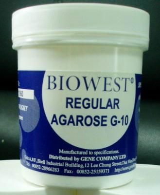 琼脂糖|西班牙Biowest Agarose