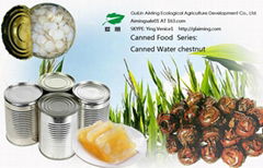 Canned water chestnut slices 