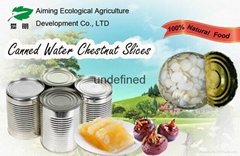 New season canned water chestnut 