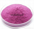 Manufacturer supply Natural purple sweet potato powder 