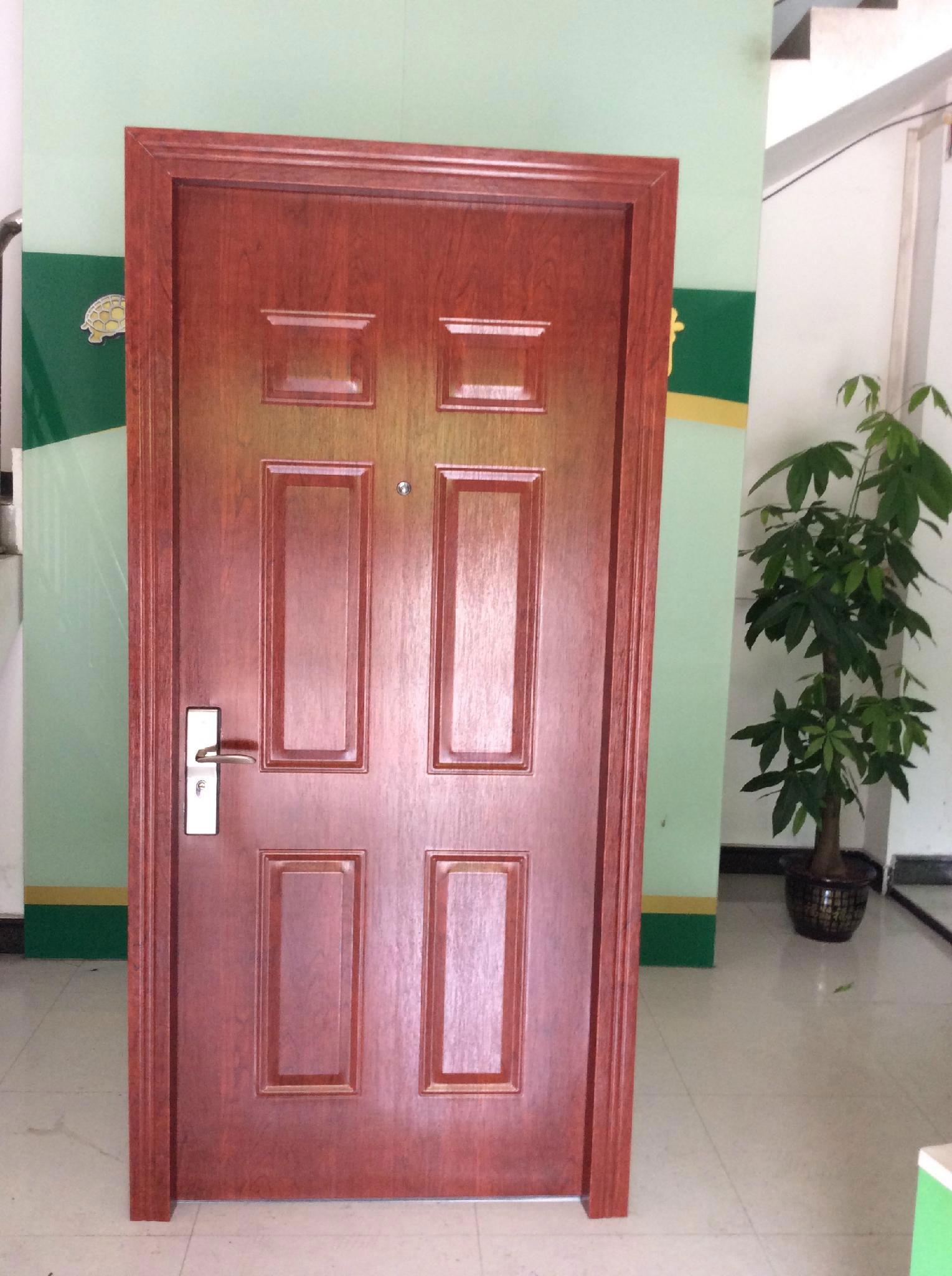 Euro style security door 2