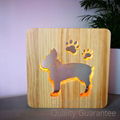 Innovative Memorial Gifts Pet Loss Aftercare Memorial Light Bone and Paws