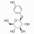 Arbutin 1