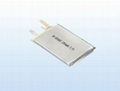 Polymer lithium battery