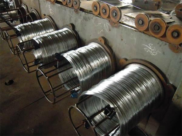 Galvanized Steel Core Wire 3