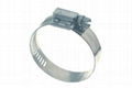 Worm Drive Clamp