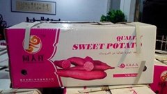 Qulity Virus--fresh Sweet Potato