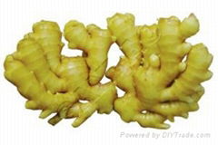 Chinese fresh ginger