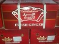 Chinese fresh ginger 3