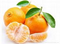 Mandarin Orange