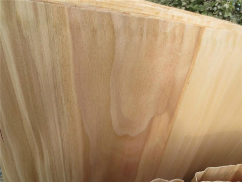 veneer rotary cut natural wood veneer