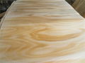  rotary cut natural wood veneer 3