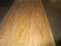 birch veneer  from china factory