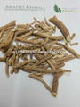 Withania Somnifera Seeds, Roots & Extracts 1