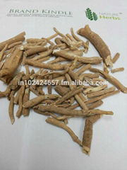 Withania Somnifera Seeds, Roots & Extracts