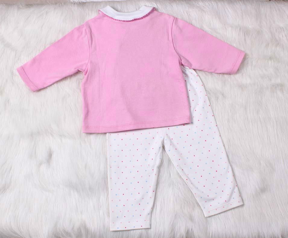 Baby Girl Boutique Clothing Set With Embroidery 2pcs 4