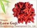 Organic   Grains   Nutrition  Goji Berry