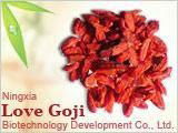 Organic   Grains   Nutrition  Goji Berry