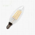 warm white Glass Filament bulb inside LED