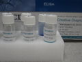 Urocortin ELISA Kit 1