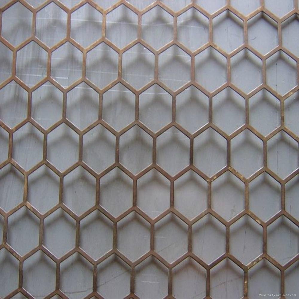 Hexagonal hole mesh 3