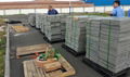 Pallets For Concrete Blocks And Bricks 4