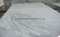 hot sale, perfect price of the white marble carrera slabs 4