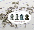 Cemented Carbide Pins 1