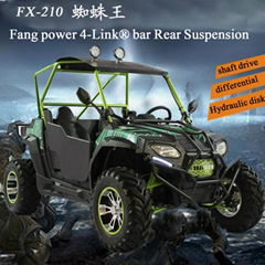 EPA certifired Teenager and Adults UTV 200cc for Sale