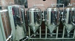 1BBL stainless steel fermenter