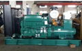 20KW/25KVA natural gas generator with Cummins engine 4